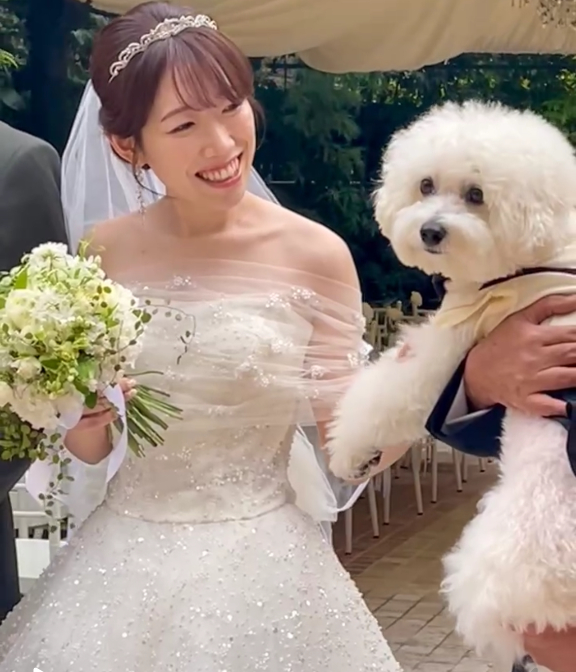 挙式に参列者。白いふわふわの毛並みの犬もドレスに合わせたヘアメイクにうっとり。